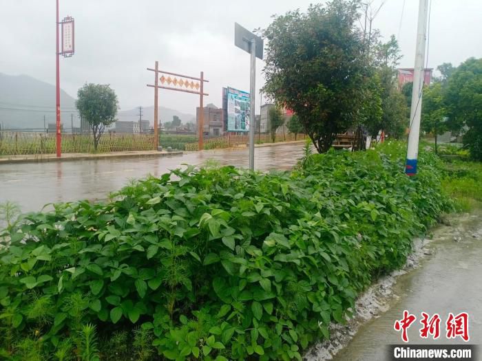 寿水瑶族村的路边也种上了农作物。　汝城县委宣传部供图