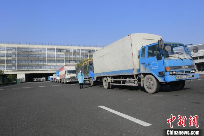 春节前经港珠澳大桥珠海公路口岸出入境的货车数量持续增长。　王相国 摄