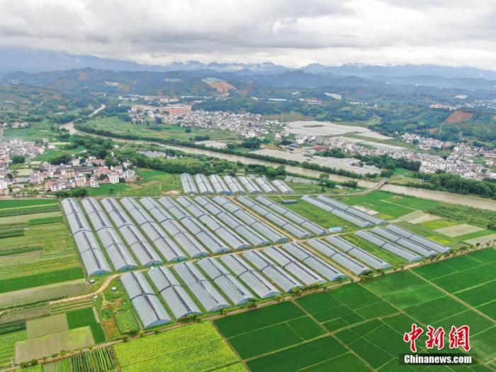 资料图为6月8日，航拍江西赣州安远县的一处大棚蔬菜基地。(无人机照片) 中新社记者 刘力鑫 摄