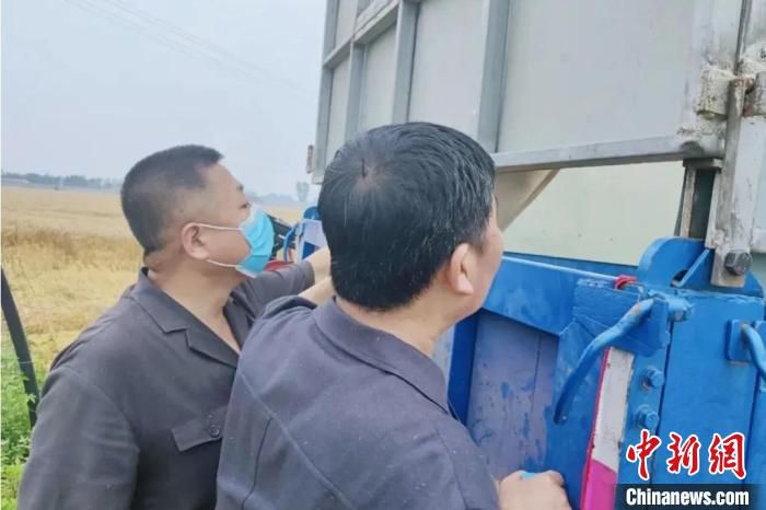 160亩小麦收割拍卖执行现场 天津高院供图