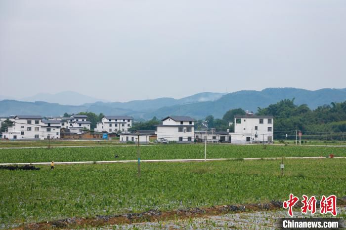 图为广西贺州炭冲村马鞍寨。　王伟臣 摄