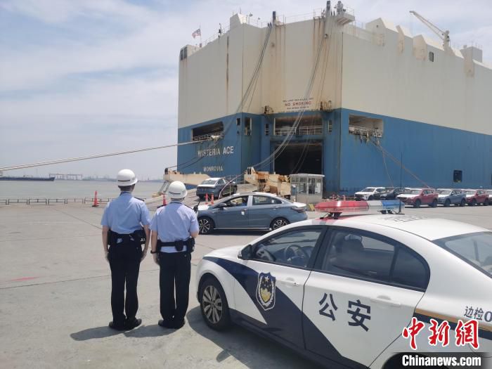 上海边检民警在码头对“紫藤精英”轮实施边检查验。　上海边检总站供图
