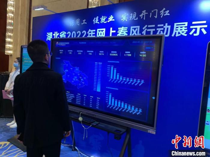 图为湖北招聘网络平台 武一力 摄