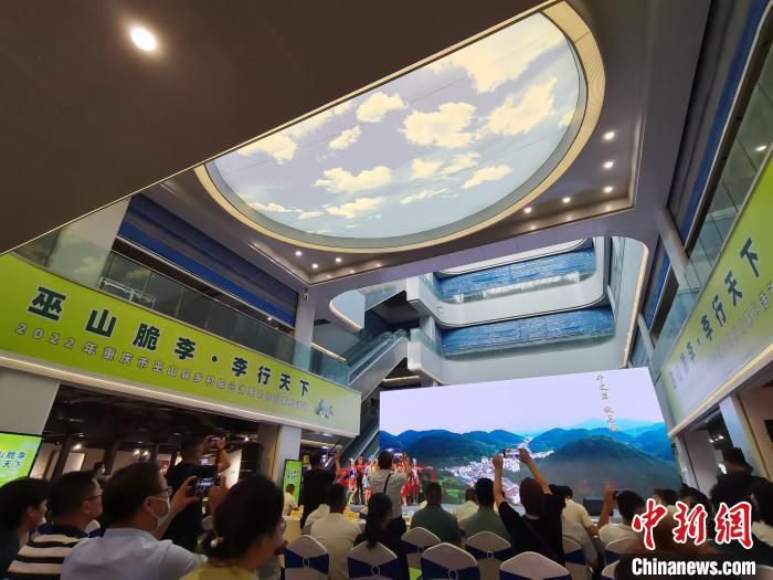 图为“巫山脆李·李行天下”2022年巫山县乡村振兴消费帮扶周活动现场。　张旭 摄