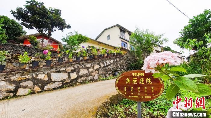 美丽乡村鲜花盛开。　点军区委宣传部供图