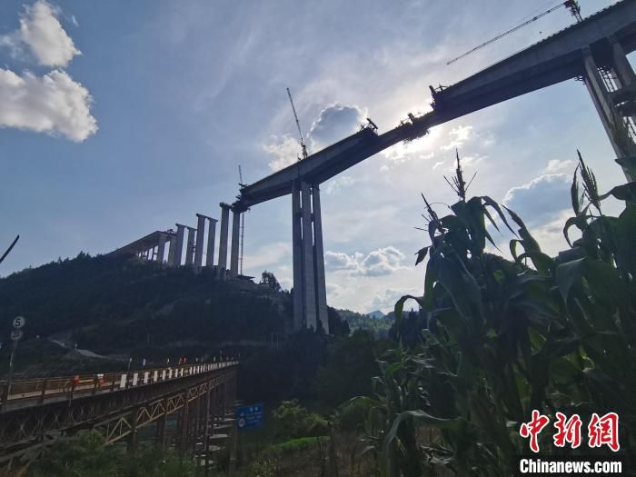 图为从低处仰望黔江区过境高速公路阿蓬江2号特大桥。　张旭 摄