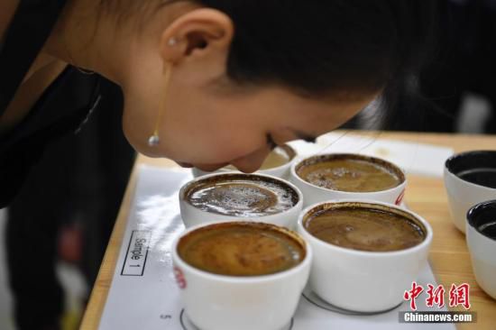 资料图：云南是中国咖啡最大的产区，占中国咖啡产量的95%以上。中新社记者 刘冉阳 摄