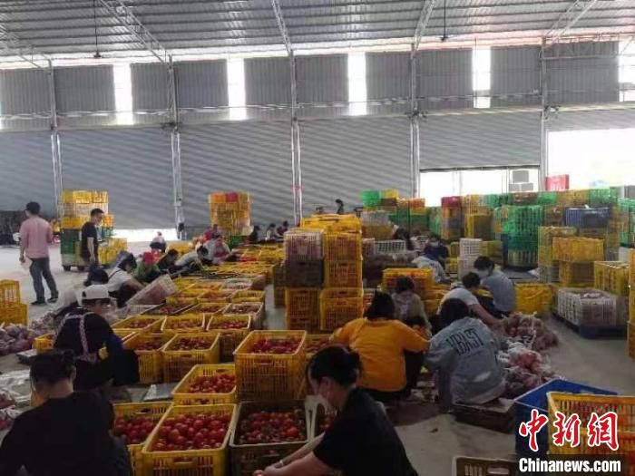图为工作人员将不同物资分拣打包 许锋利 摄