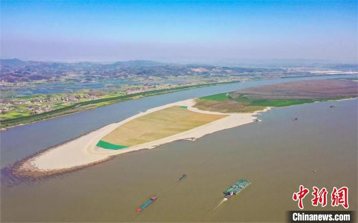 图为航拍武汉至安庆段6米水深航道整治工程“沙滩”变“绿洲” 陈宇 摄