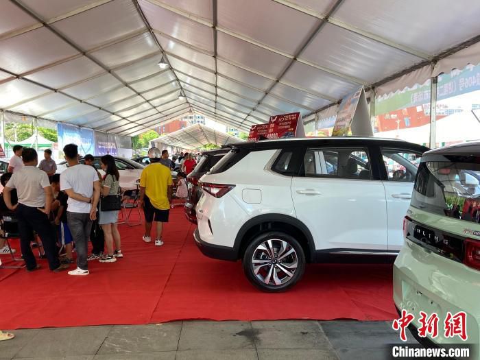 图为“汽车下乡”惠民巡展活动现场。　林洁琪 摄