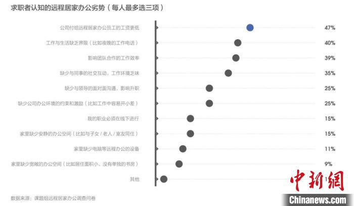 求职者对远程居家办公的顾虑 智联招聘供图