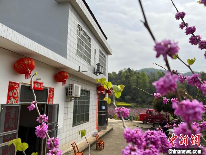桃花掩映下的架锅山农家乐。　郭晓莹 摄