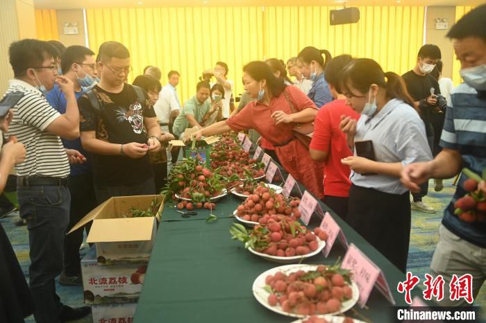 图为荔枝品尝。　鞠忠良 摄