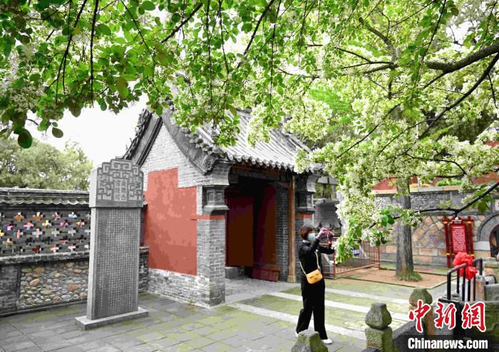 资料图：山东泰山王母池4月14日恢复开放。　刘春莲 摄