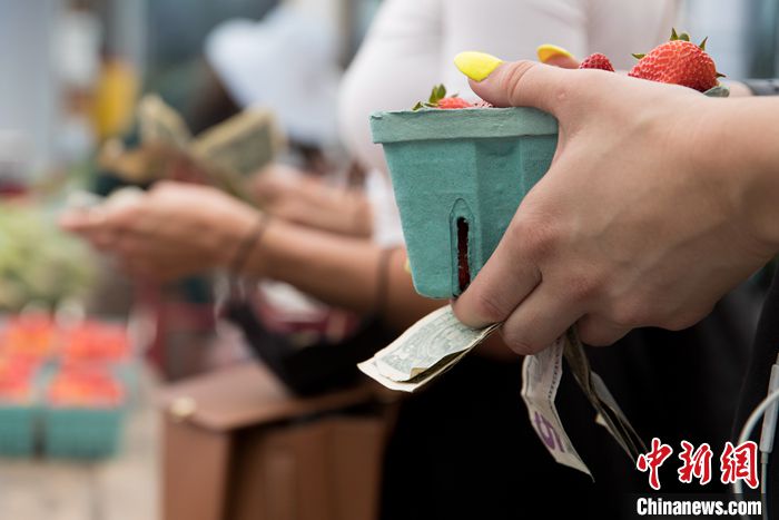 图为民众在纽约联合广场农贸集市购买食品。 中新社记者 廖攀 摄