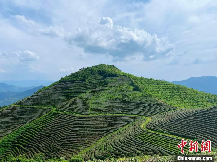 猛峰尖一景。　林波 摄