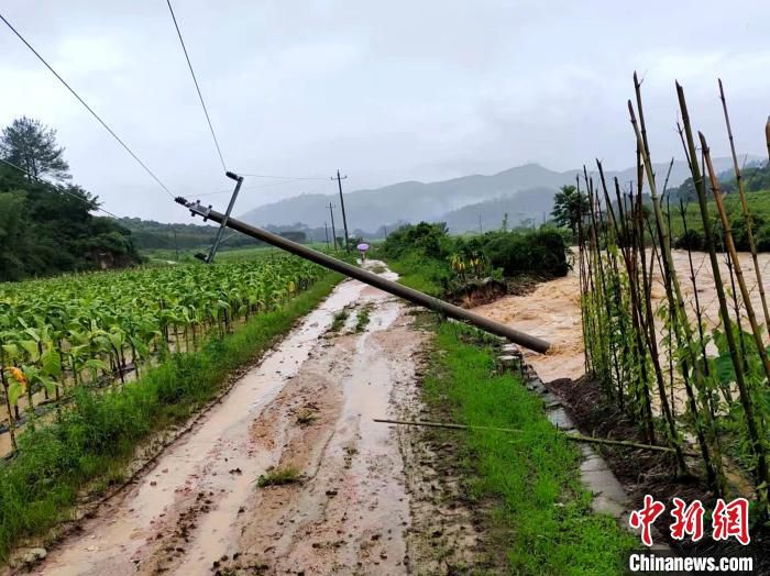 图为：三明市清流县电力设施受损。　黄晓春供图