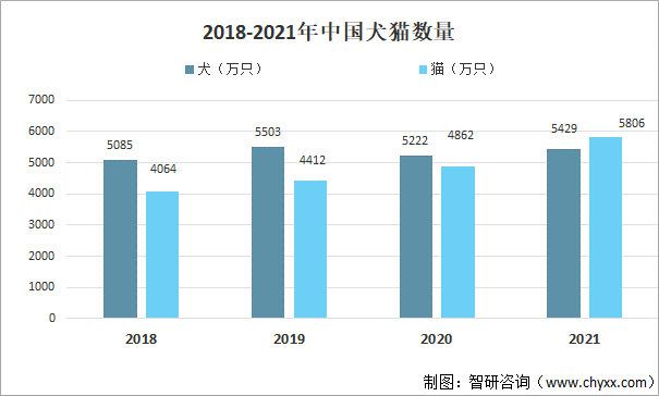 图2:2018—2021年中国犬猫数量