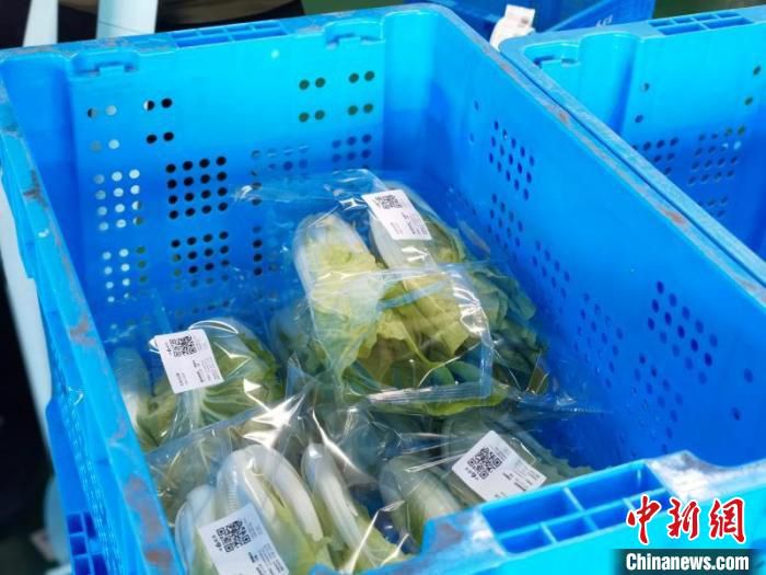 每一包蔬菜上都有溯源二维码 陈莹供图