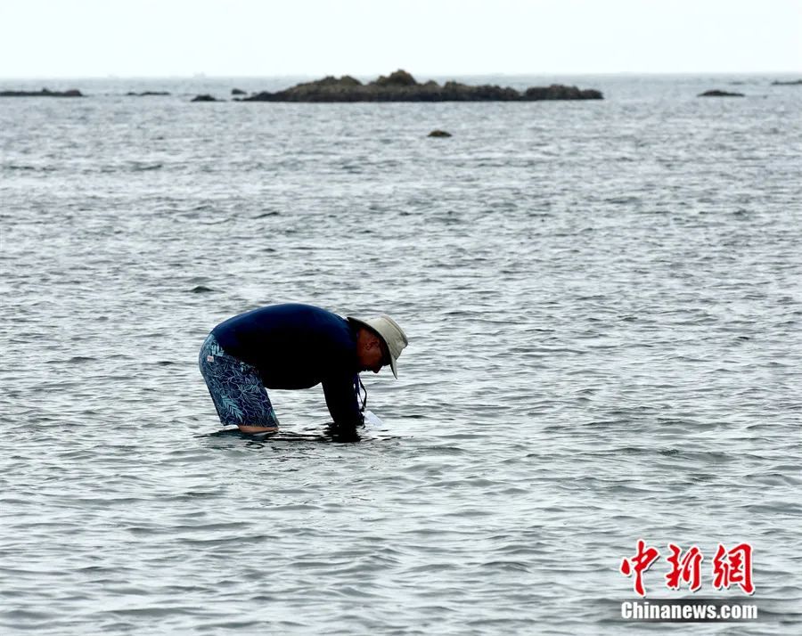 “蓝碳倡议”国际会议人员考察中国海洋生态环境。中新社发 杨志礼 摄