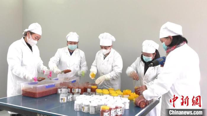 图为“五朵金花”把制作好的辣椒酱装瓶。　满都拉 摄