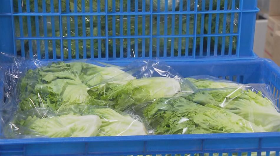 打包好的生菜