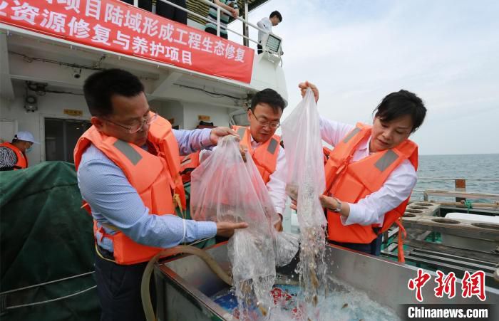 图为增殖放流现场。　郭嘉启 摄