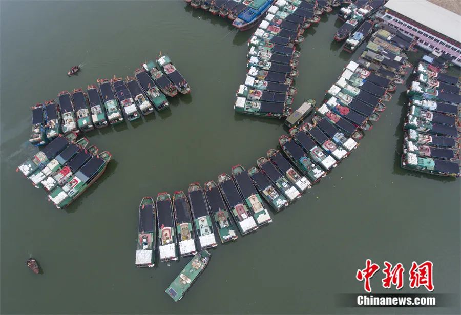 南海进入伏季休渔期，海口新港码头大批渔船回港靠泊。中新社记者 骆云飞 摄