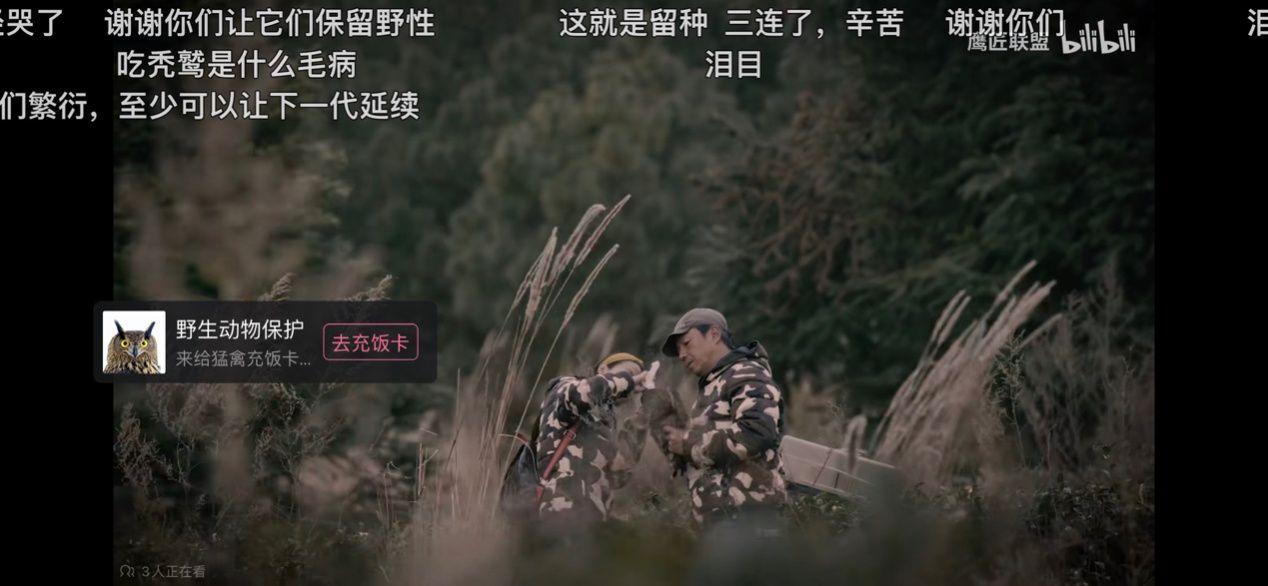 视频内相关公益项目卡片