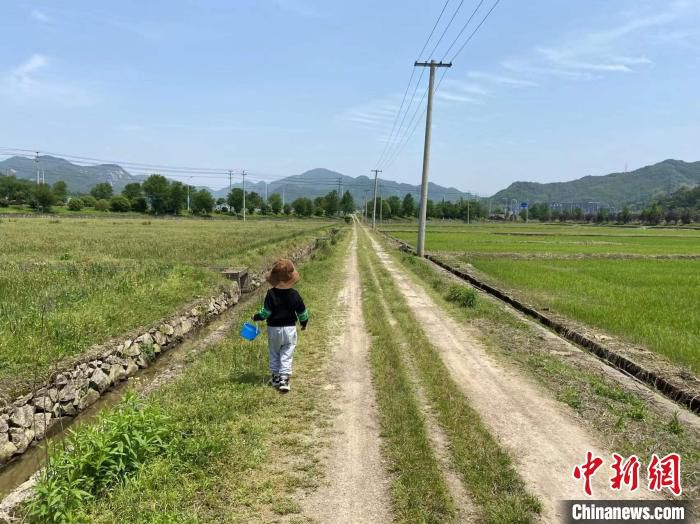 象山乡村一景。　林波 摄
