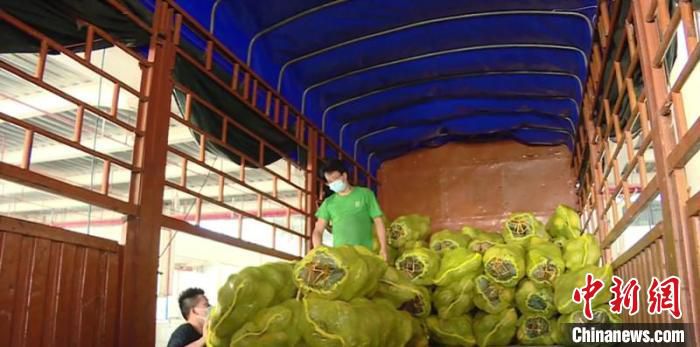 图为广西开通保供“绿色通道”，确保物流运输畅通 广西商务厅供图