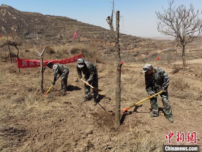 在兰州高新区定远镇矿湾村，“以我之名，来种一棵树”的活动正在进行。　徐雪 摄