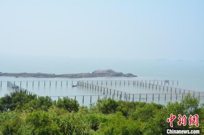 浙江洞头白龙屿生态海洋牧场 洞头区委宣传部供图