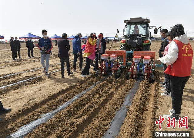 图为大豆玉米带状复合种植现场观摩会。　高晓龙 摄