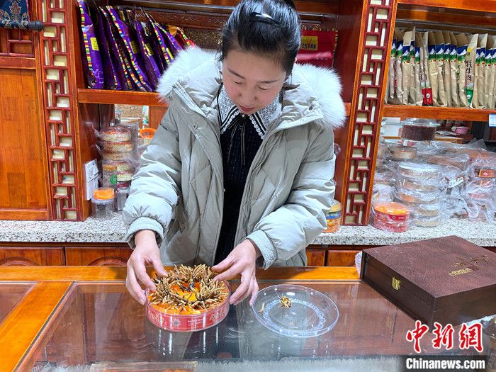 图为商家将冬虫夏草摆放在礼盒中。 中新社记者 孙睿 摄