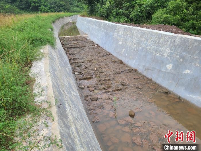 图为郑渝高铁位于万州的生态渣水沟，采用石笼网等非砼结构，有利于此地生态系统的恢复。　渝万铁路有限责任公司供图