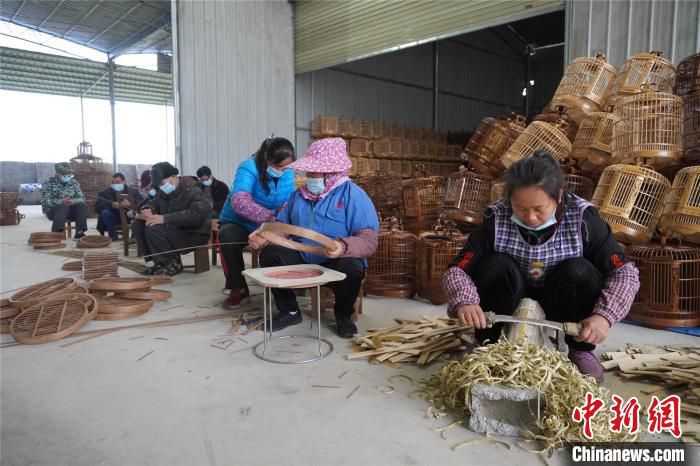 1月26日，临近春节，广西柳州市百朋镇新圩场海洋鸟笼基地里，村民仍在忙着编织赶制鸟笼。　何芳芸 摄