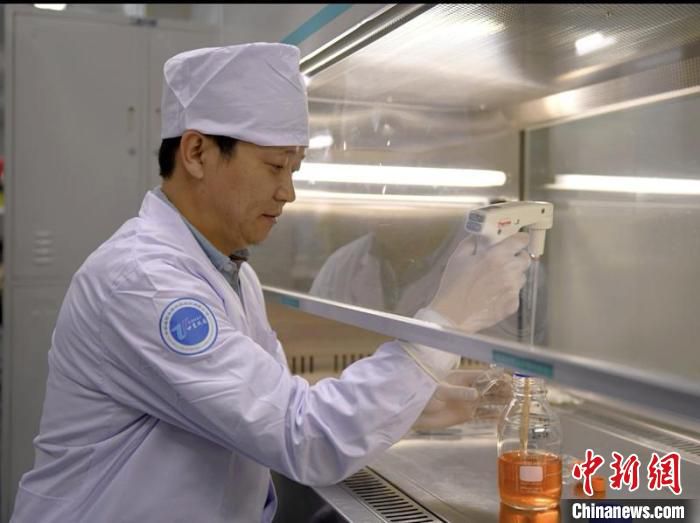 中农威特生物科技股份有限公司副总经理刘学荣在实验室进行“细胞传代”。　受访者供图