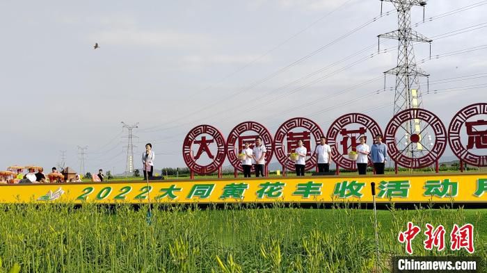 8日，2022年大同黄花丰收活动月启动。　高雨晴 摄
