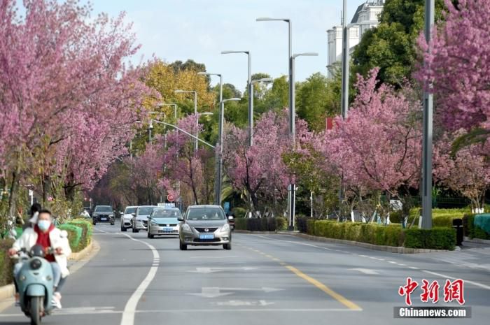 资料图：昆明街道。 中新社记者 李嘉娴 摄