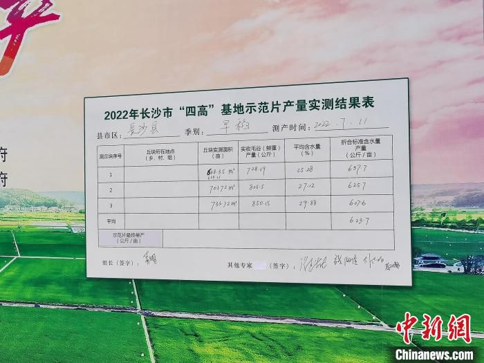 测产结果显示示范区亩产达623.7公斤。　长沙市农业农村局供图