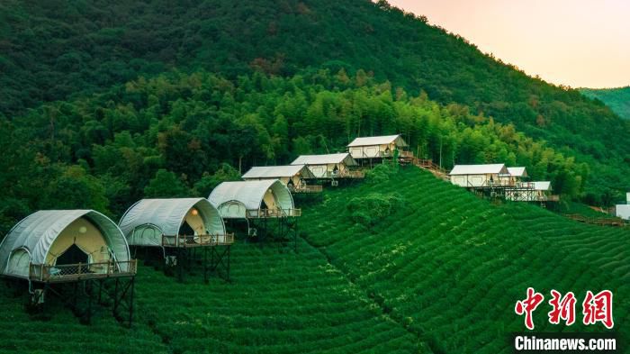 湖州奇幻谷茶野里露营地。　安吉县文化和广电旅游体育局供图