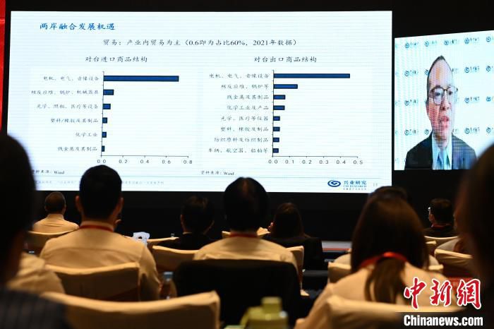 兴业银行首席经济学家鲁政委作《双循环与两岸融合发展机遇》的视频主题发言。　张金川 摄