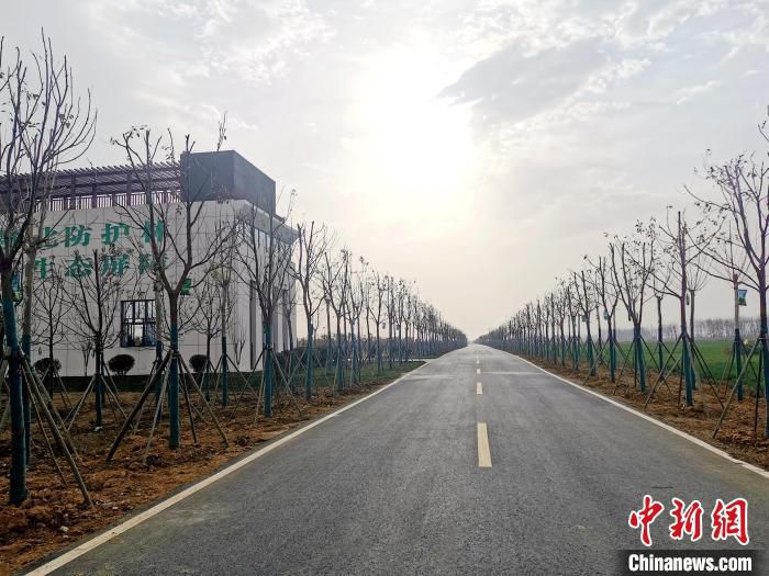 襄阳市襄州区古驿镇二房村鄂北生态防护林建设工程 胡传林 摄