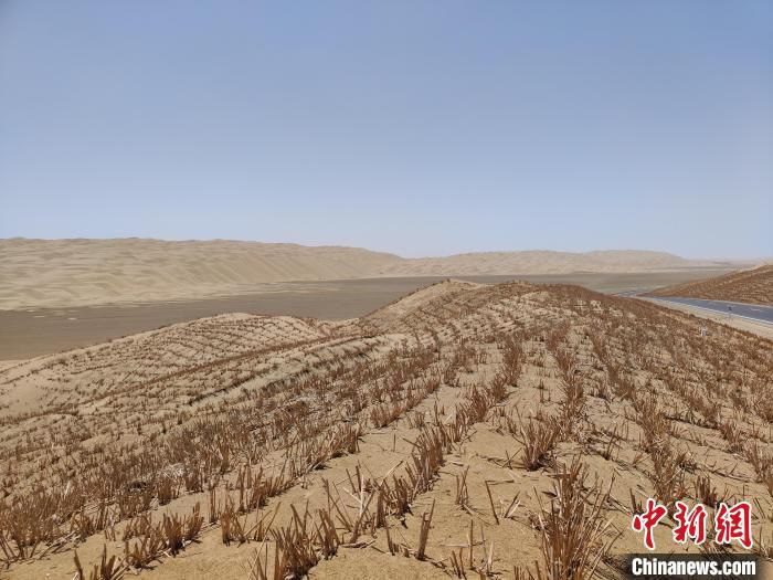 公路两边防风固沙的草方格也早已铺设完毕，铺设总面积达5800多万平方米。　喇小飞 摄