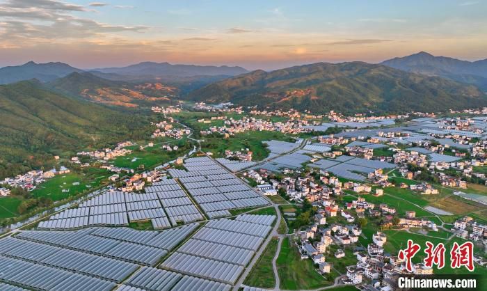 航拍江西省赣州市于都县梓山镇潭头村，夕阳余晖映衬着整齐排列的蔬菜大棚。(资料图) 朱海鹏 摄