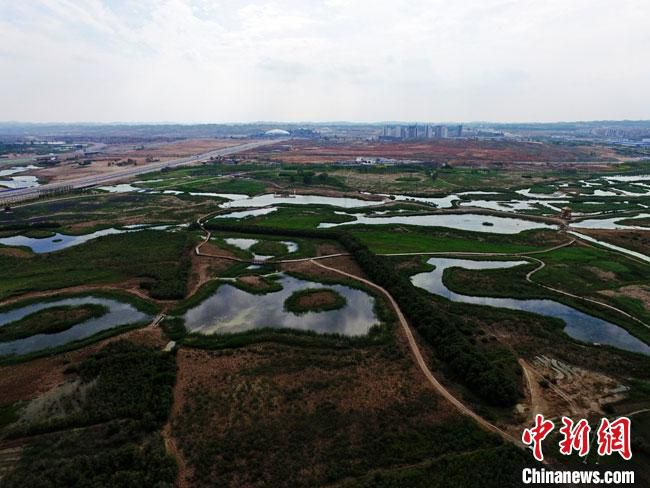 图为航拍兰州新区湿地公园。(资料图) 杨艳敏 摄