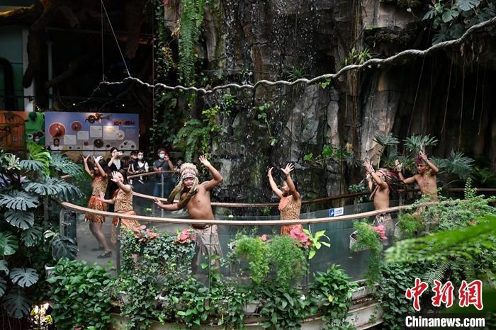 6月30日，广东广州，一名游客在正佳雨林生态植物园的“爱丽丝的玻璃房”展区自拍。 中新社记者 陈楚红 摄