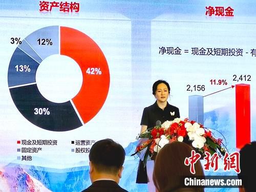 华为首席财务官孟晚舟。中新社 郑小红 摄