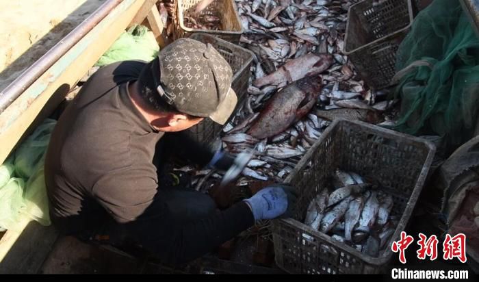 第一网“开湖鱼”鱼虾满仓。　 于金鑫 　摄